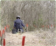 Demining_in_knee_position5