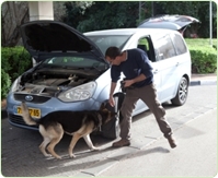 Explosive_Detection_Dog_Searching_Car