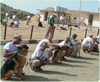 Explosive_Detection_Dog_s_Unit_Training